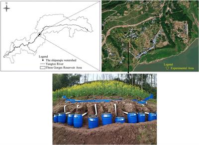 Reduction of nitrogen loss in runoff from sloping farmland by a ridged biochar permeable reactive barrier with vegetated filter strips